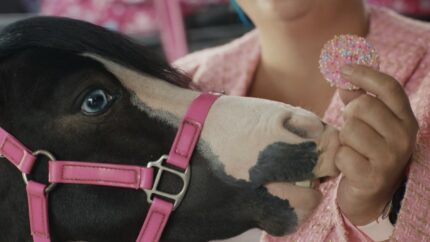 Champions - Champions. Director: By Florian Habicht