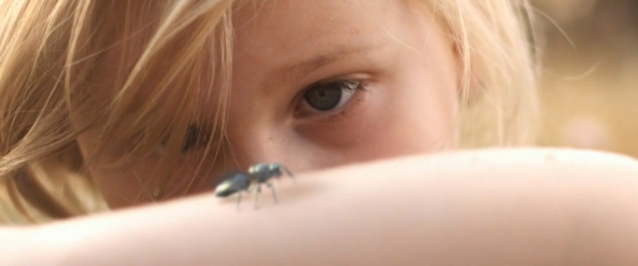 Brand Film: Greenpeace - New Bees (2014)